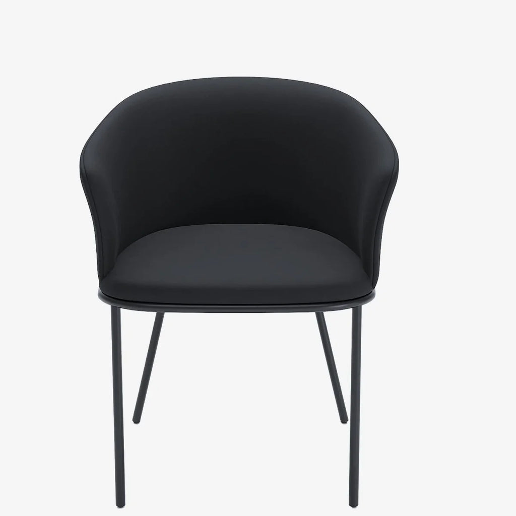 Lot de 2 fauteuils de salle à manger en velours